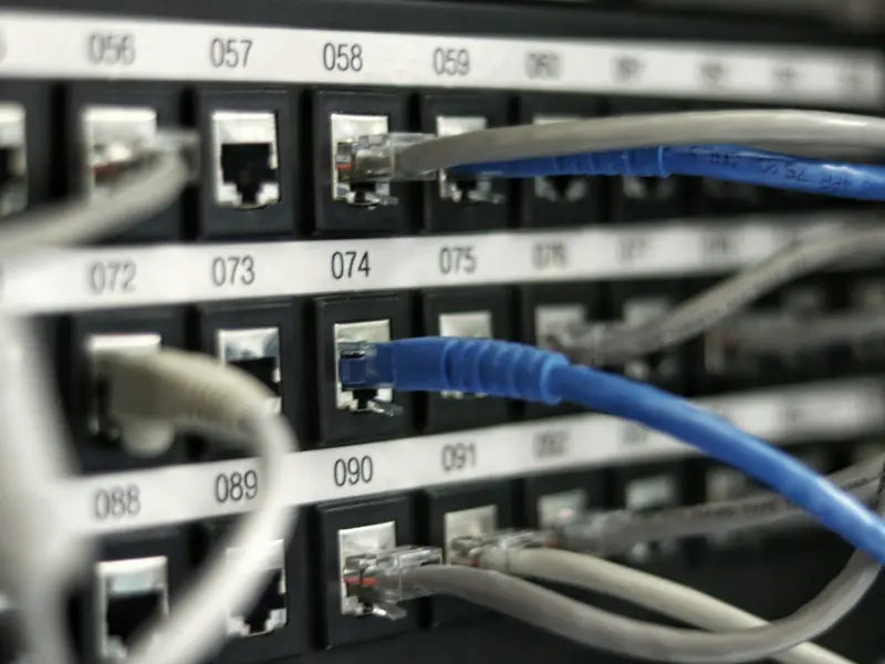 Blue and grey copper patch cords in a numbered RJ45 patch panel